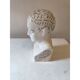 Cracked earthenware phrenology bust by Fowler