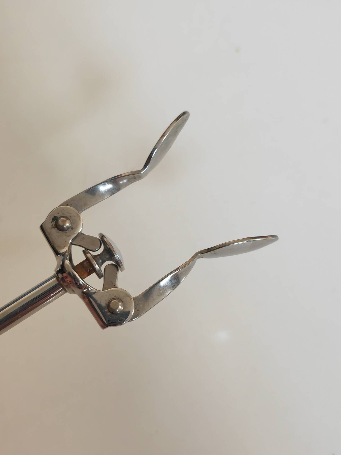 Sugar tongs or ice cubes