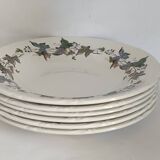 Royal China Vigo porcelain soup plates