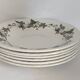 Royal China Vigo porcelain soup plates