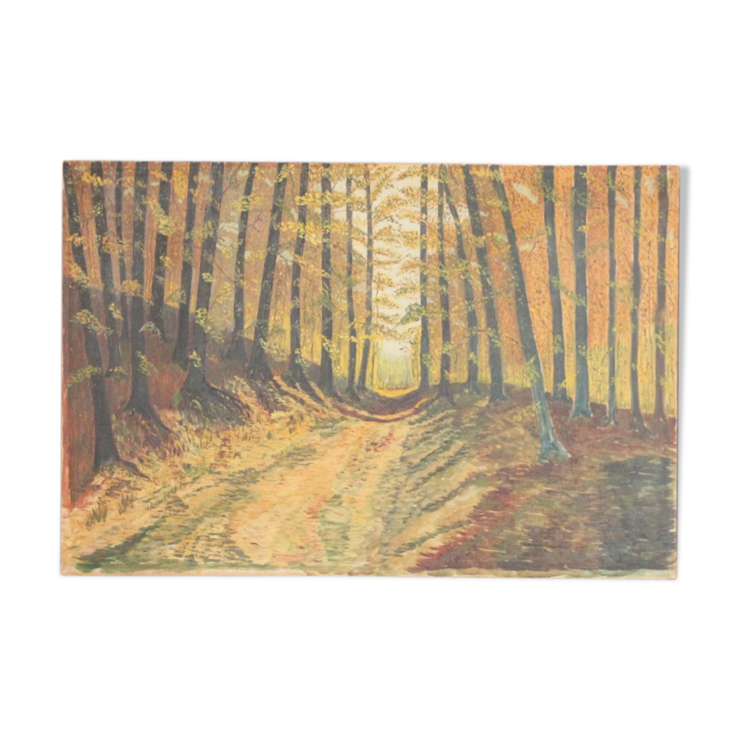 Painting oil forest trail