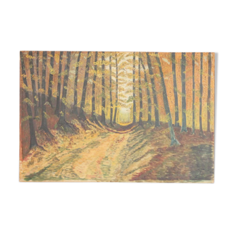 Painting oil forest trail