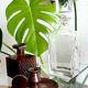 Whisky decanter with flat cap