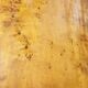 Walnut bramble coffee table