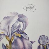 Botanical engraving -Iris- Illustration of medicinal plants and herbs. Pastels by C.Michaut