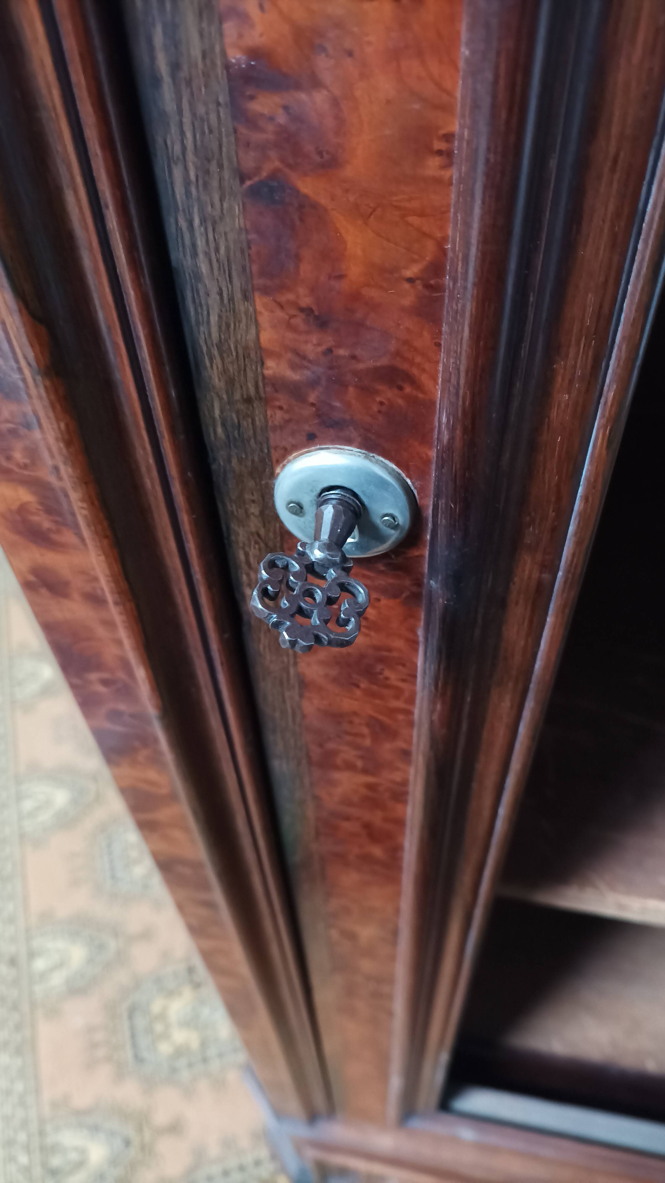 Napoleon III period library in thuja burl