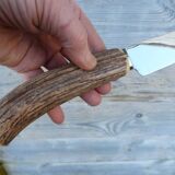 Horn and stainless steel lamb service meat knife