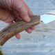Horn and stainless steel lamb service meat knife