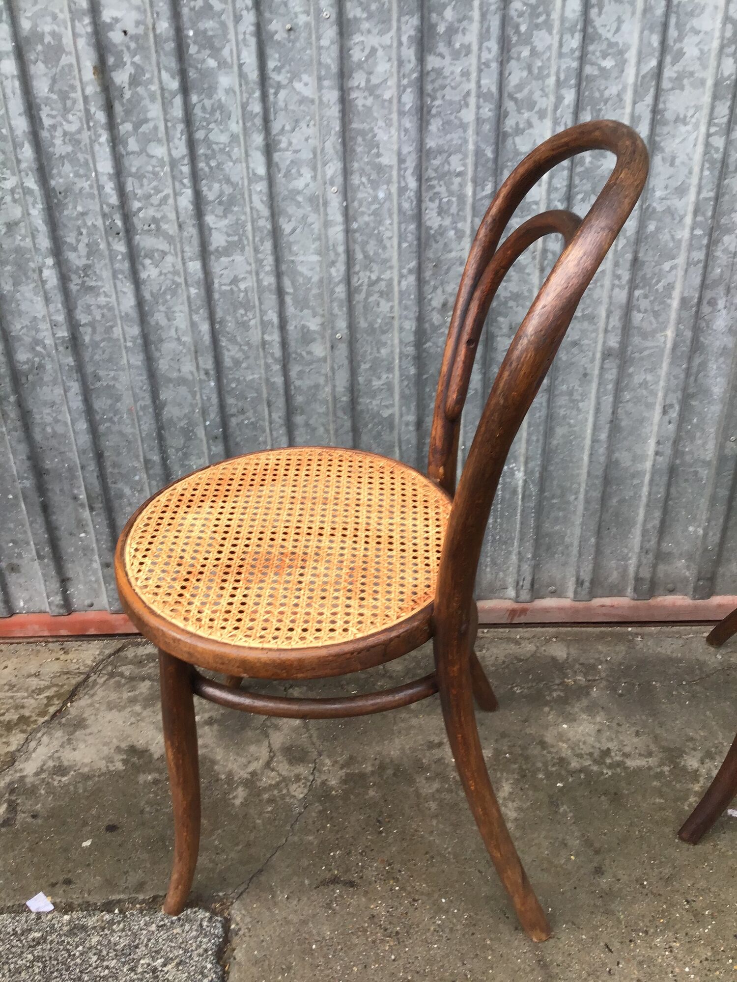 Pair of chairs curved wood tuna and Nr 14