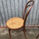 Pair of chairs curved wood tuna and Nr 14