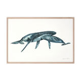 "Joy & Marius", the whale and its cub, art print 21/29.7 cm