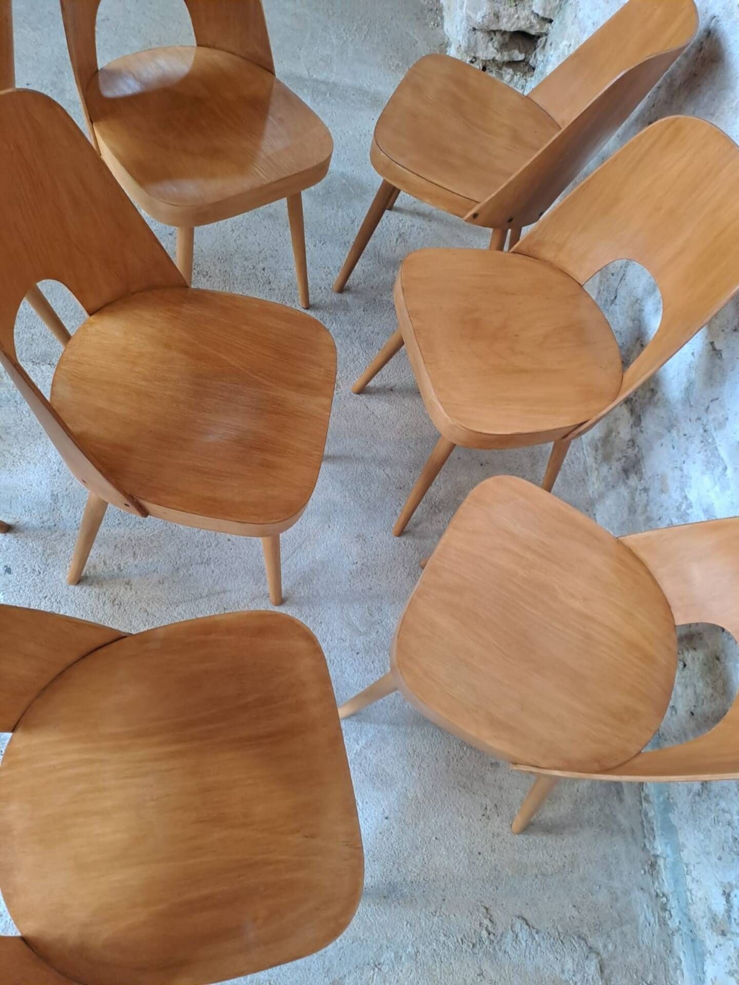 Set of 8 TON515 chairs by Oswald Haerdtl, Czech vintage 1955
