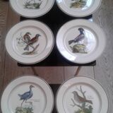 Assiettes Paradiso