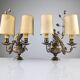 Pair of wall sconces with parrots and leaves