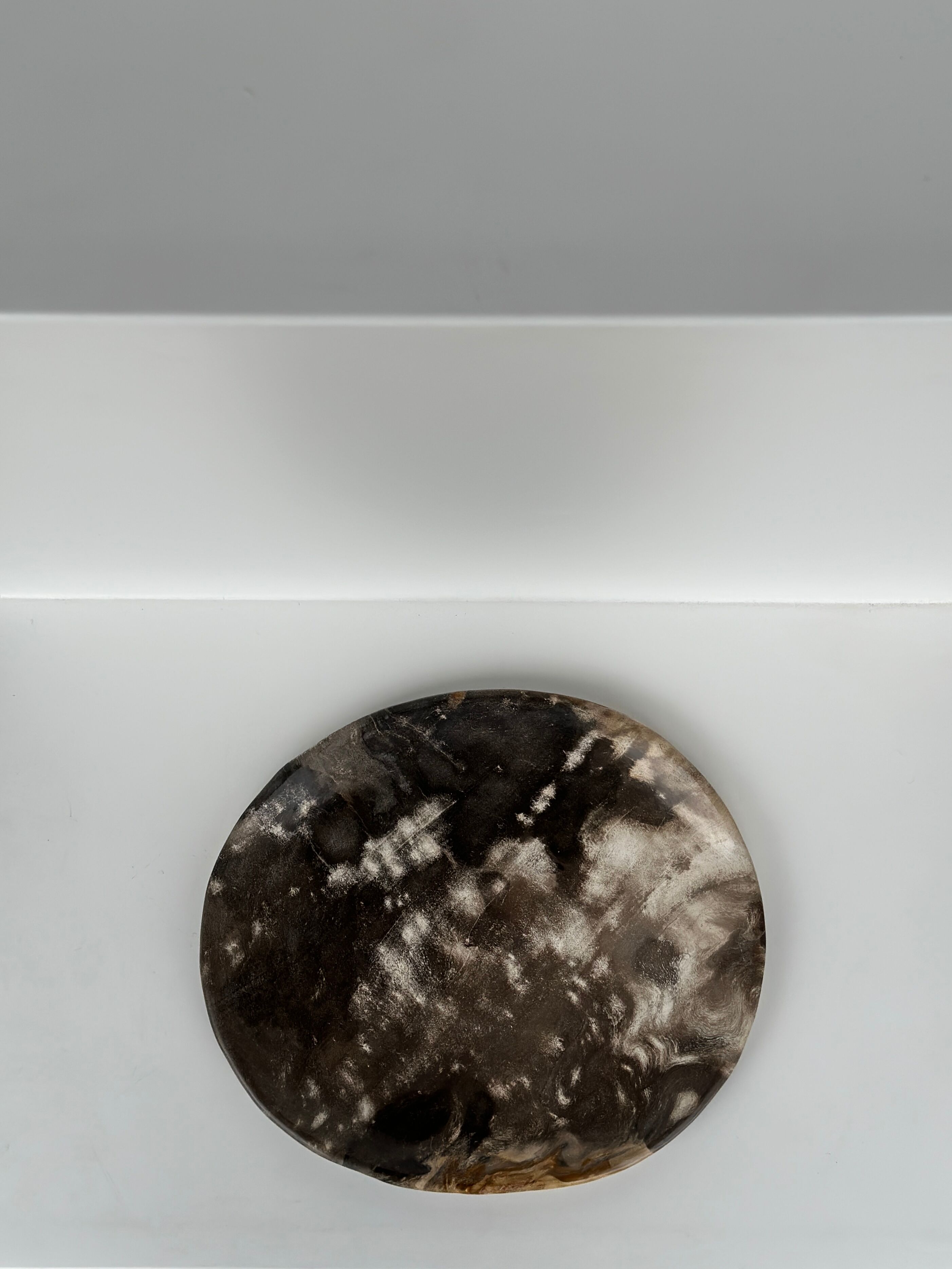 Dish in petrified wood