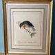 Vintage frame drawing of a bird - Japanese Nightingale