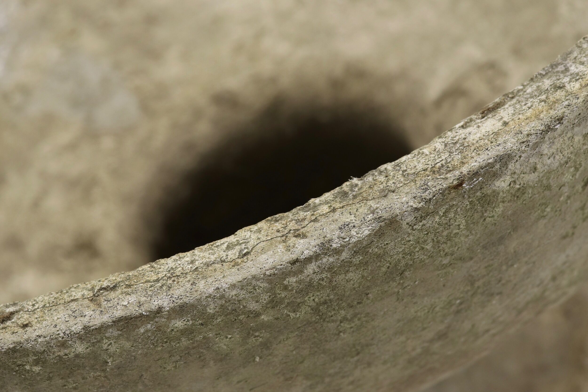 Fiber planter in the 60