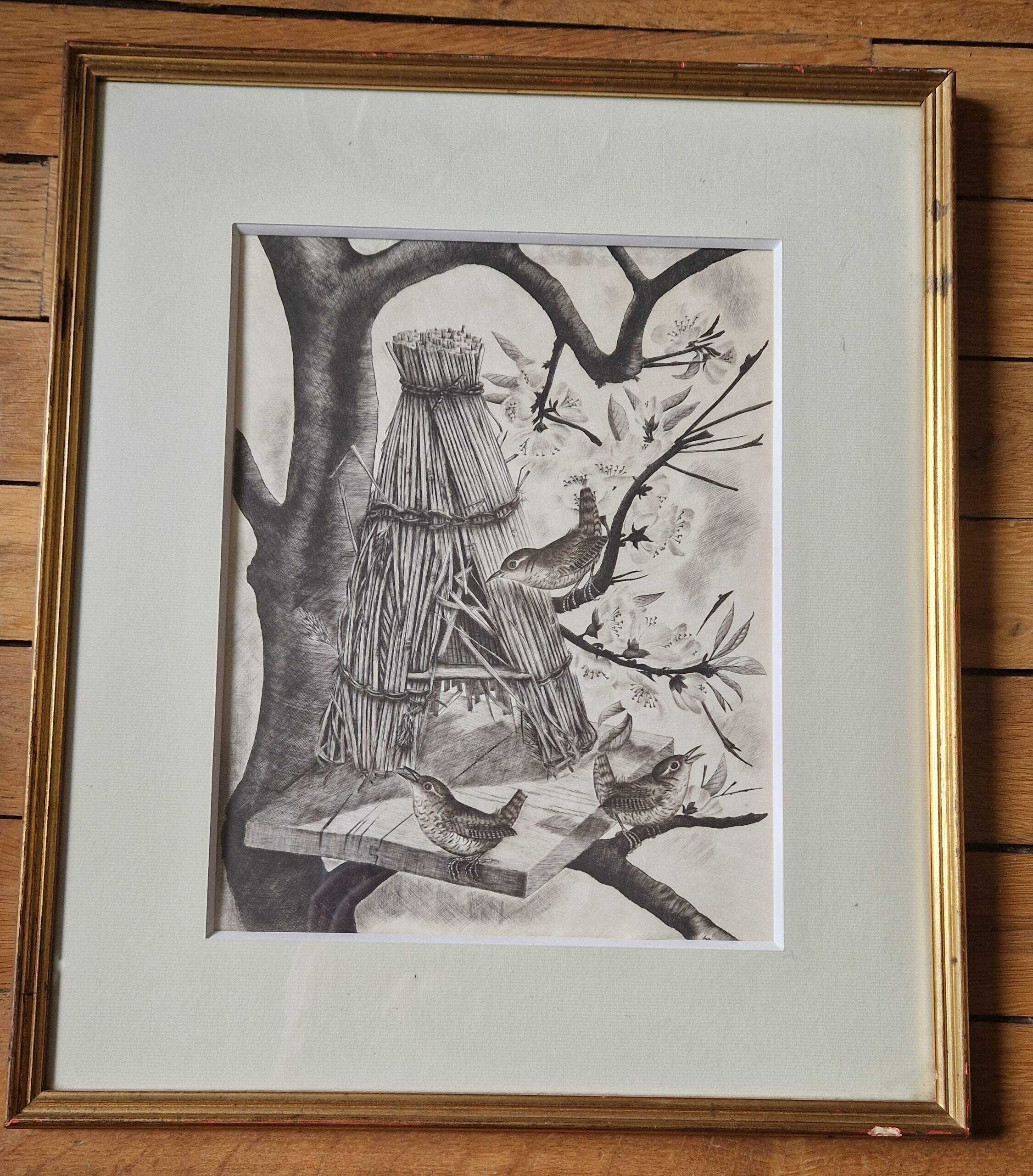 Original engraving / engraving by JB Tavy Notton, "The troglodyte", circa 1970