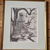 Original engraving / engraving by JB Tavy Notton, "The troglodyte", circa 1970