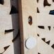 Carved mango headboard