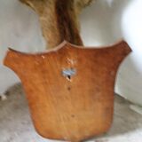 Trophy deer head on coat of arms