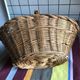 Panier en osier ancien