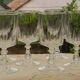 Set of 6 crystal water glasses from arques. louvre model.