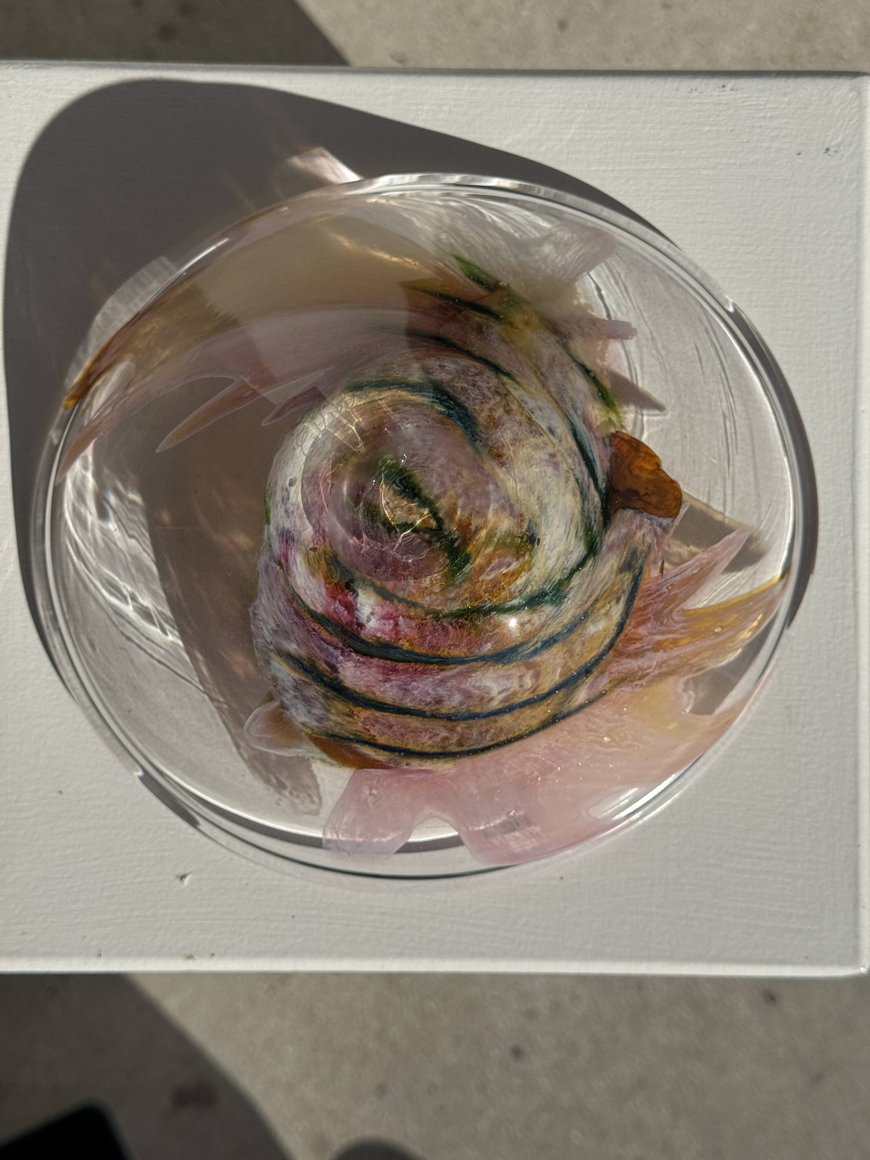 Contemporary pink blown glass bowl Carlos Vieira D21