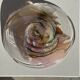 Contemporary pink blown glass bowl Carlos Vieira D21