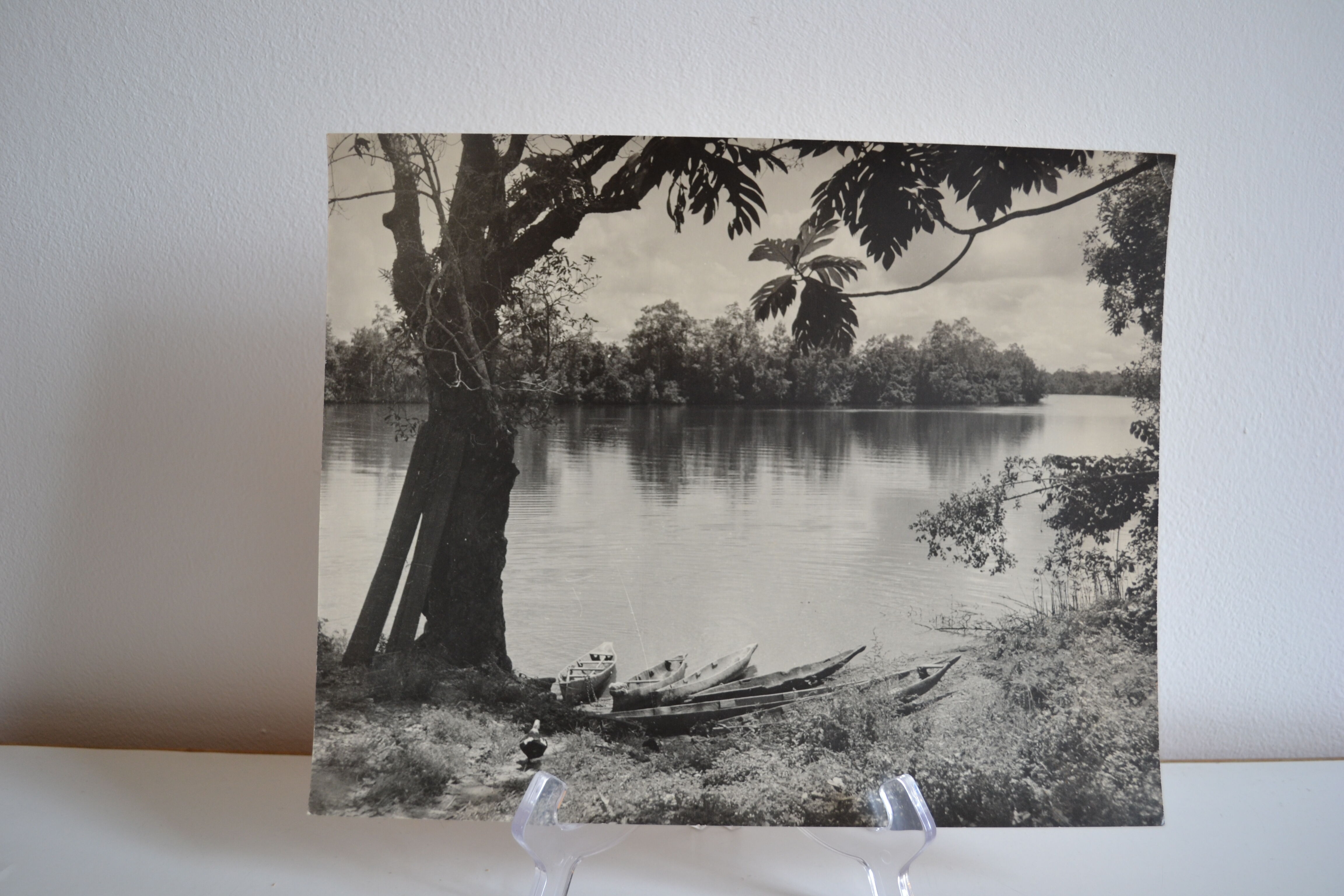 Photo argentique anonyme afrique gabon a vers 1970
