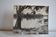 Photo argentique anonyme afrique gabon a vers 1970