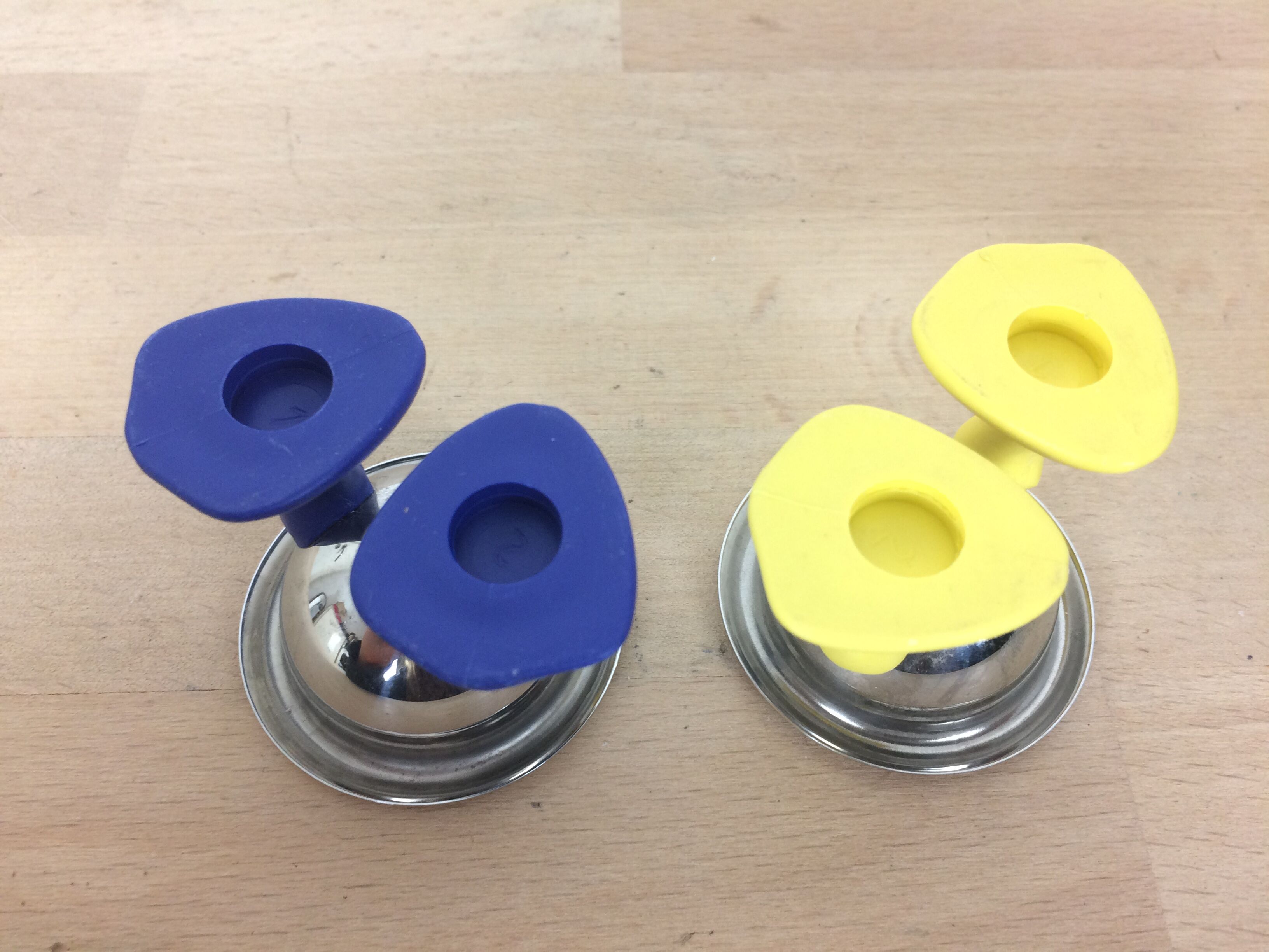 Pair of duck-footed cockroaches