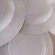Deep plates ironstone Saussure