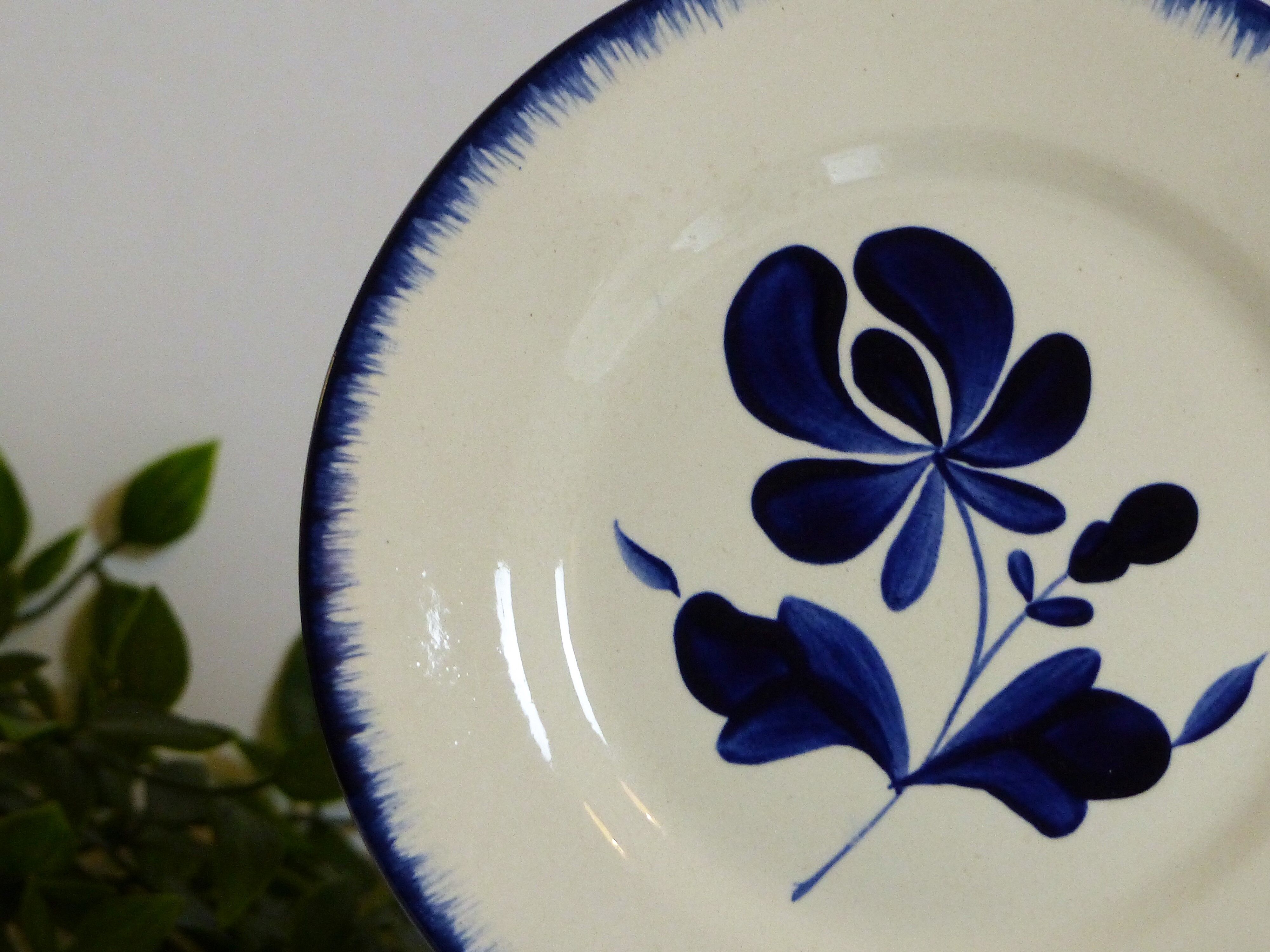 10 Salins-Les-Bains dessert plates