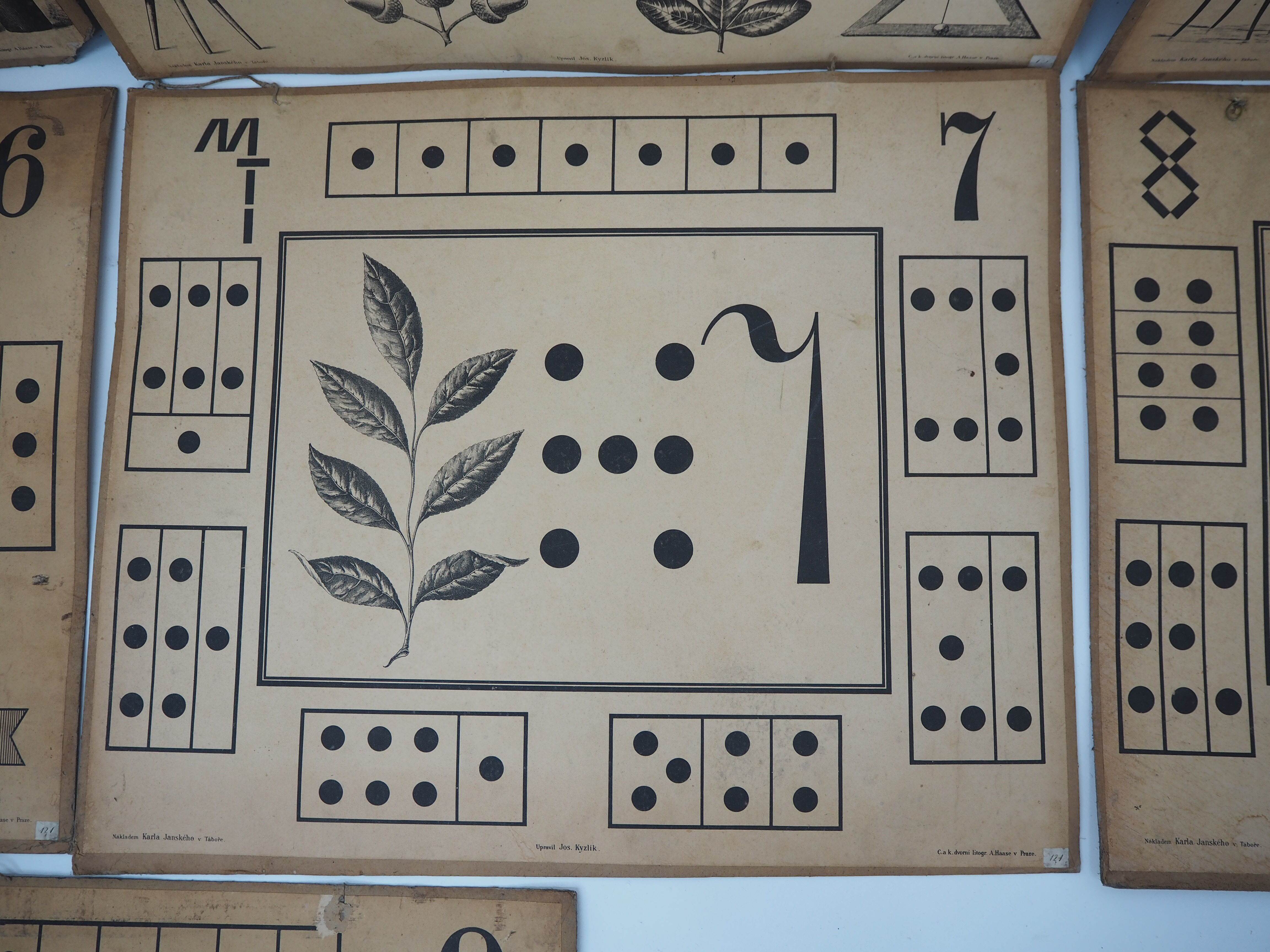 Set Of Nine Antique Teaching Posters from Litography A. Haase, Prague, 1900s