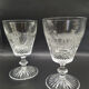 Diamond tip glasses and animal motifs