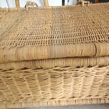 Rattan trunk