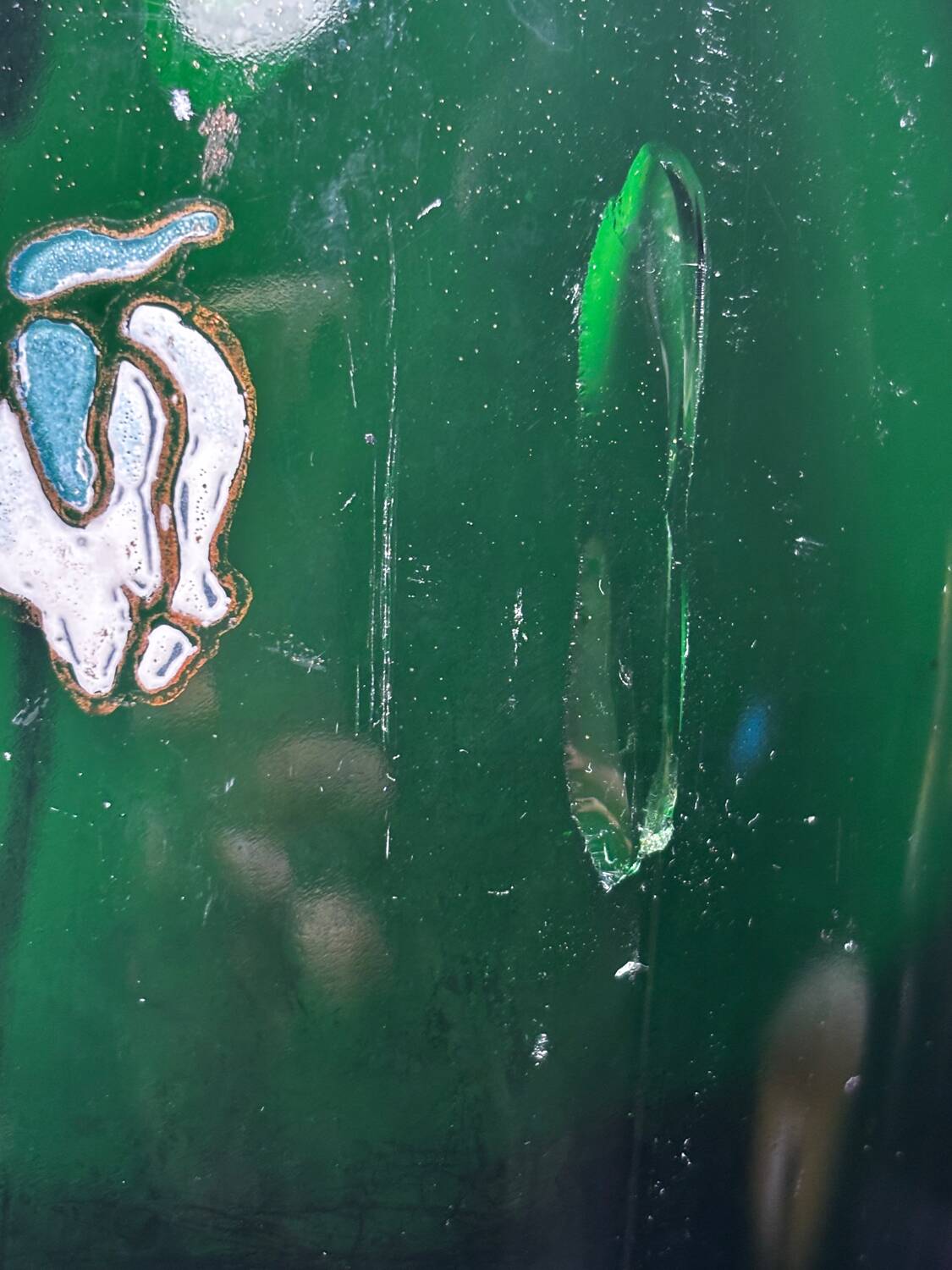 Collectible bottle of Émile Gallé champagne