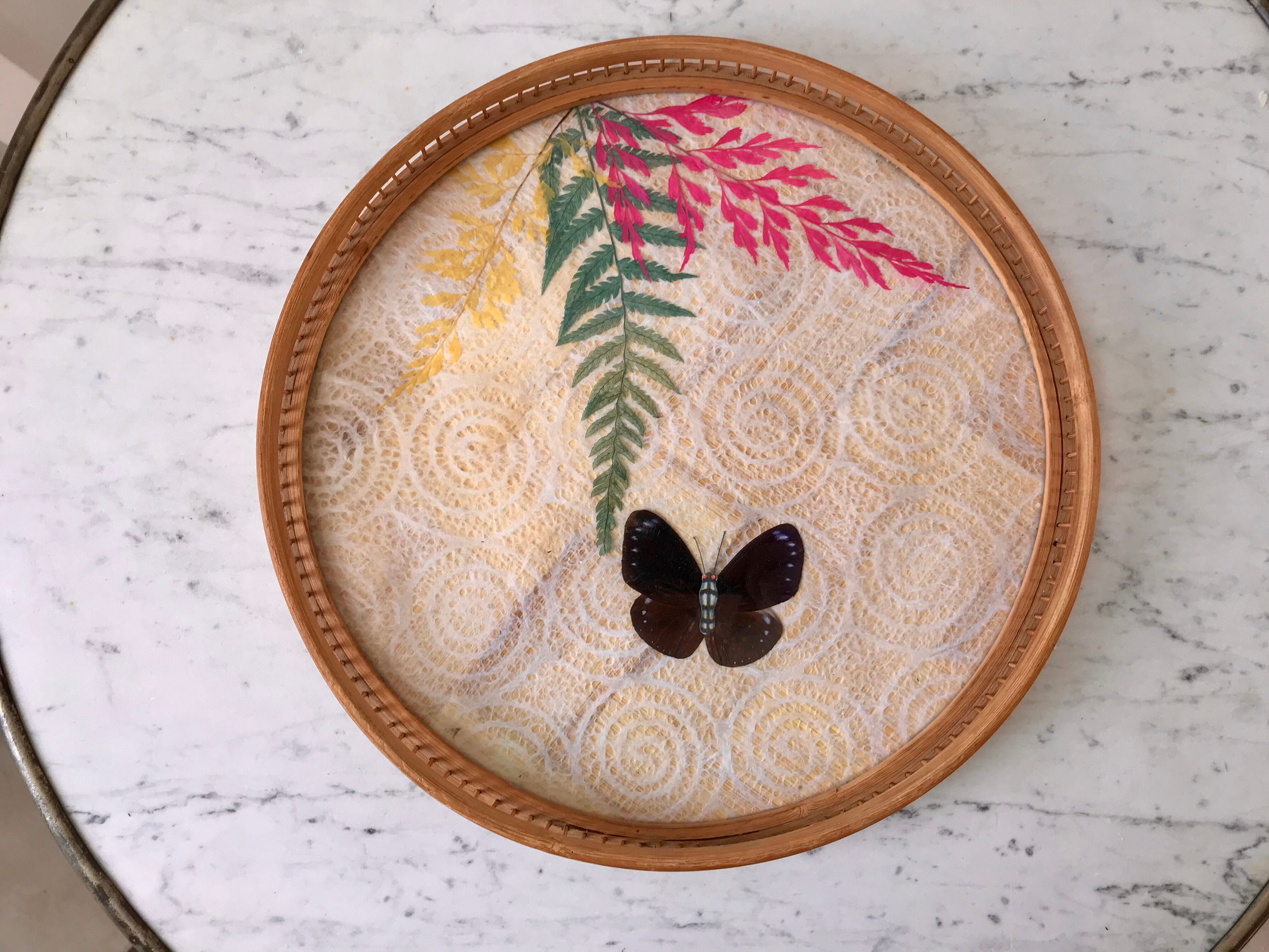 Rattan and butterfly tray in taxyderma 60s-70s