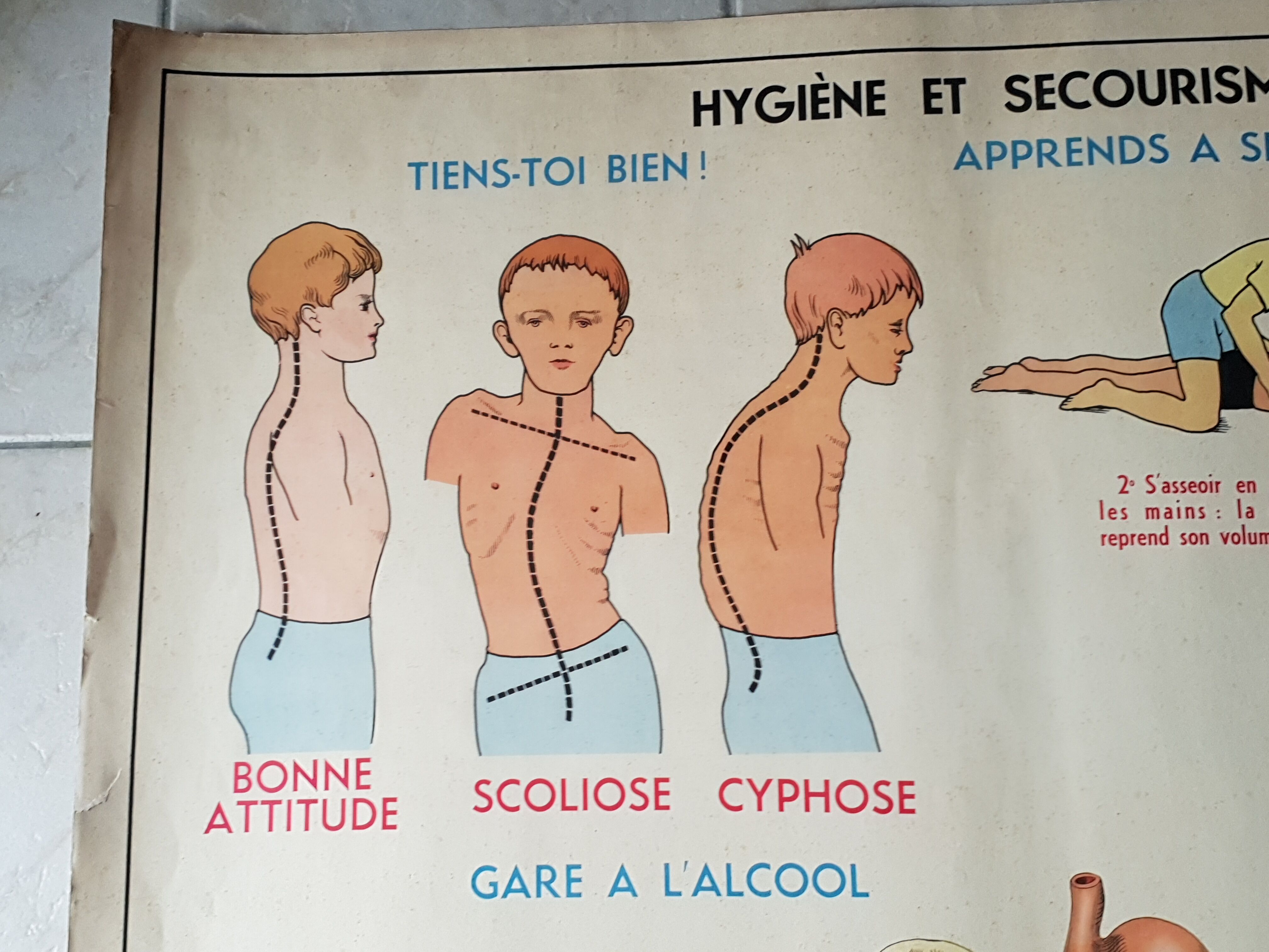 Poster school  excretion & hygiene first aid