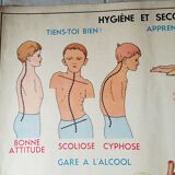 Poster school  excretion & hygiene first aid