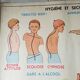 Poster school  excretion & hygiene first aid