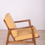 Armchair 300-139 by Swarzędzka Furniture Factory, 1960s