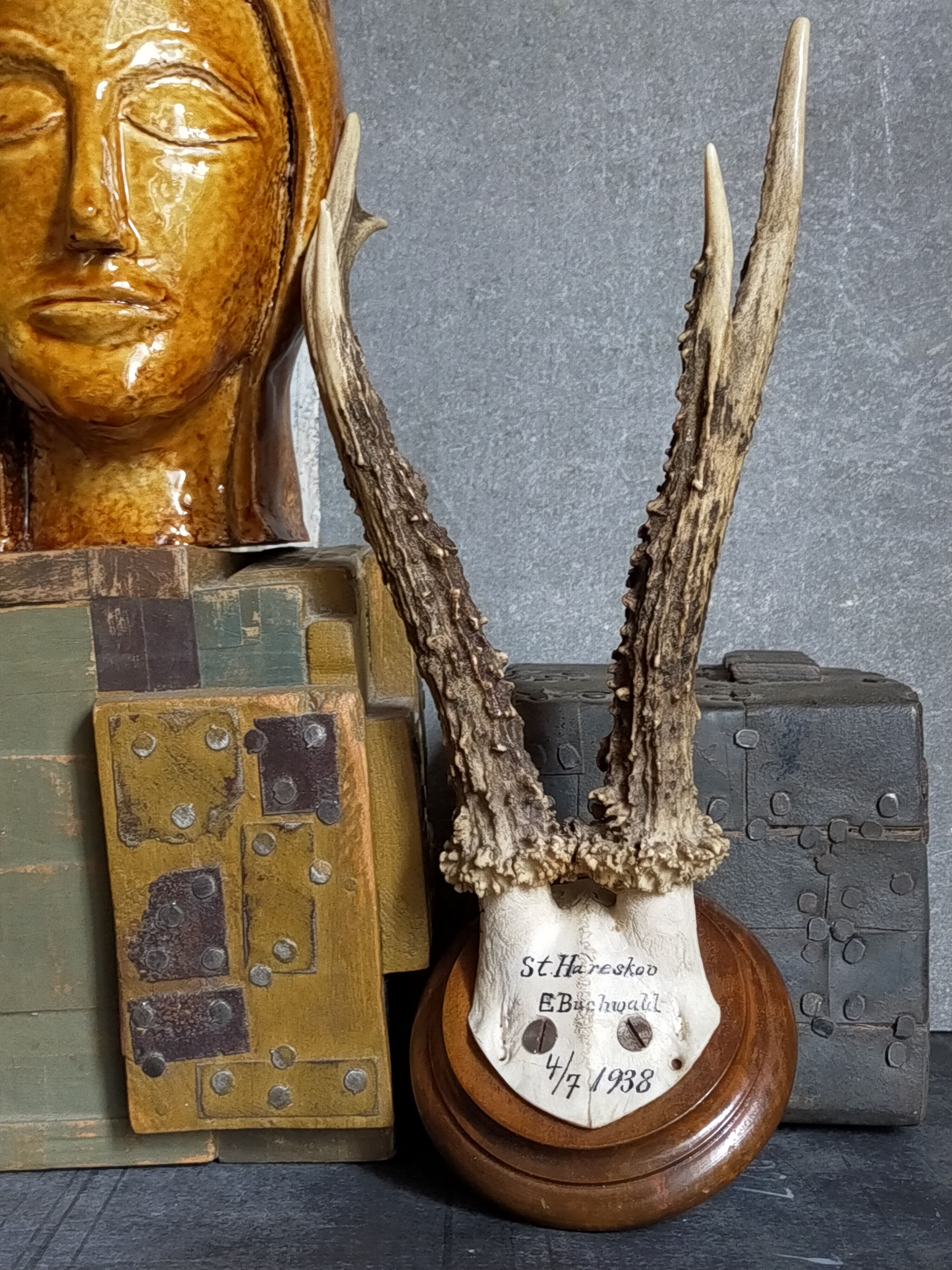Scandinavian hunting trophy old 30 years