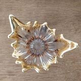 Golden glass fruit cup