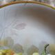 Large decorative antique porcelain plate