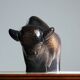 Brown glazed bull sculpture by Ed Ruscha, 1970s ceramic art
