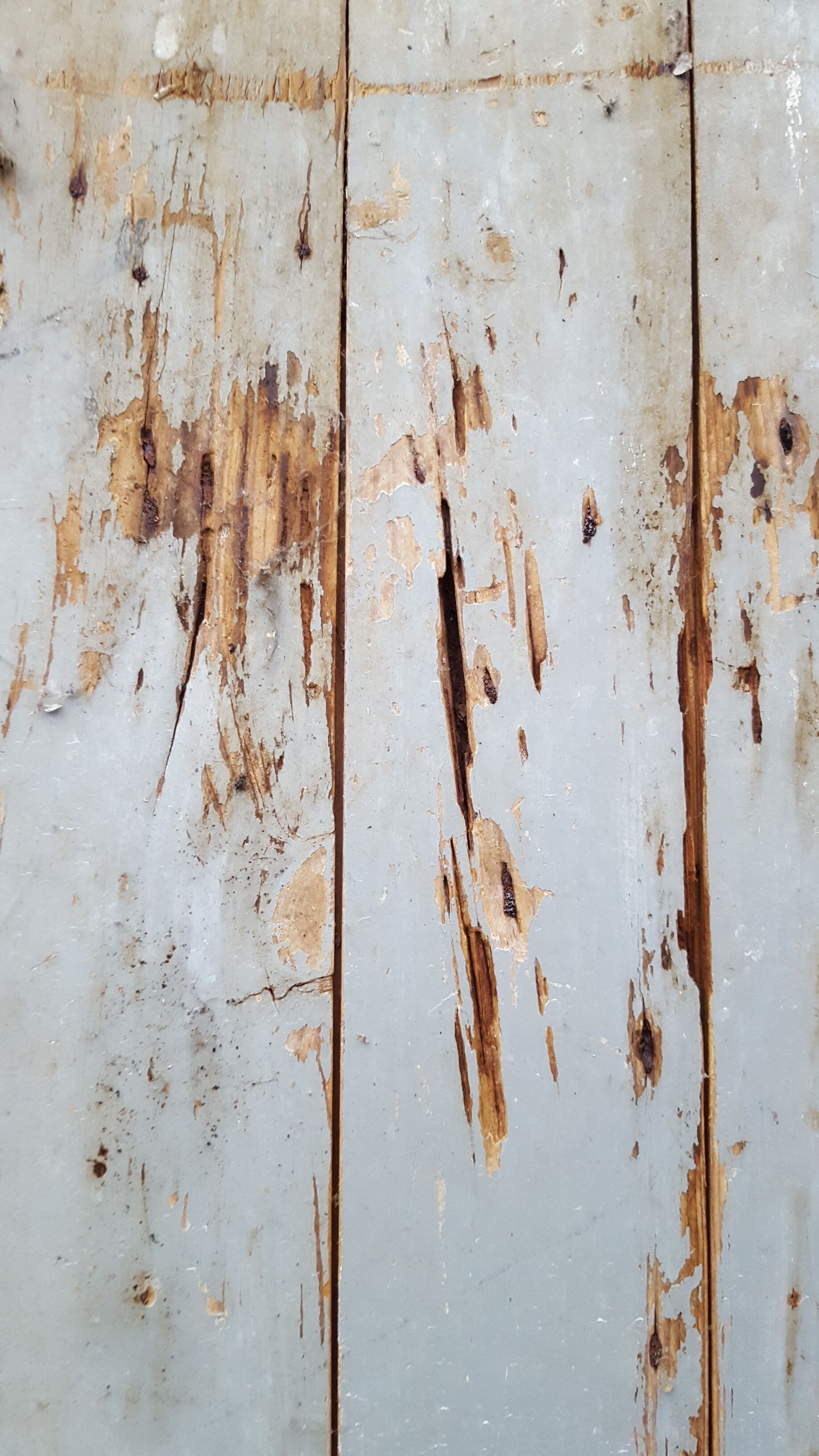 Old grey patina door