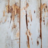 Old grey patina door