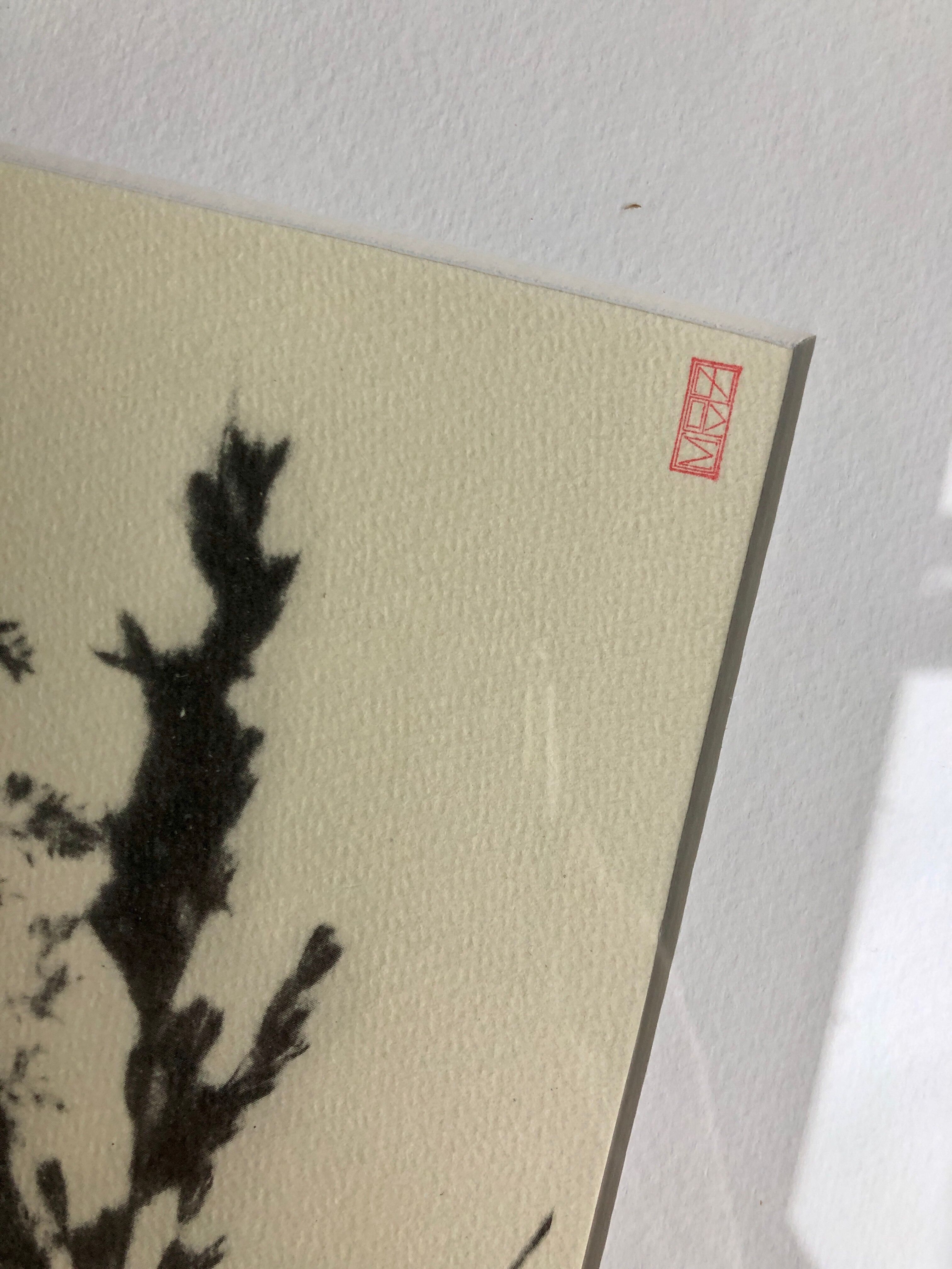 Framed lithograph - extract from the notebook "Les Natugraphies" - Albert de Visscher